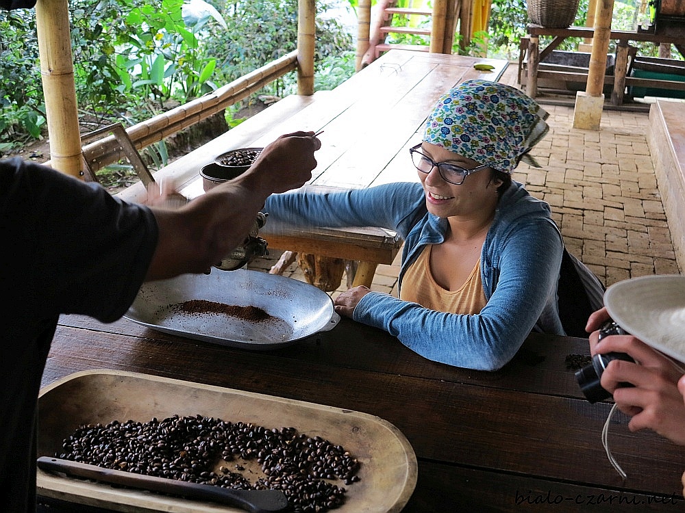 Kolumbia, plantacja kawy18