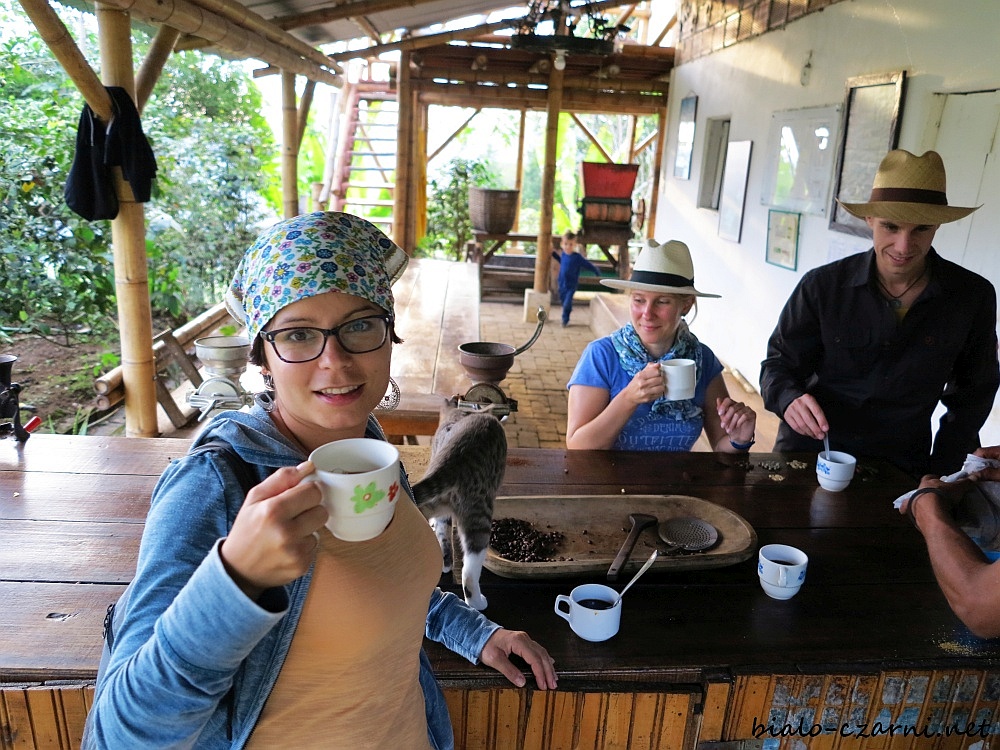 Kolumbia, plantacja kawy23