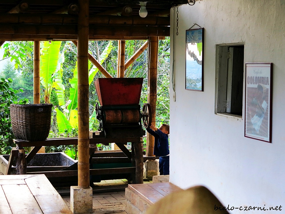 Kolumbia, plantacja kawy24