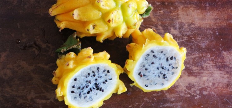 KOLUMBIA KULINARNIE KOLUMBIA KULINARNIE
